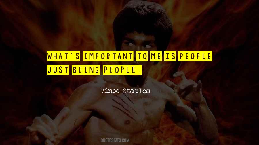 Vince Staples Quotes #945473