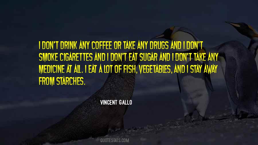 Vincent Gallo Quotes #872195