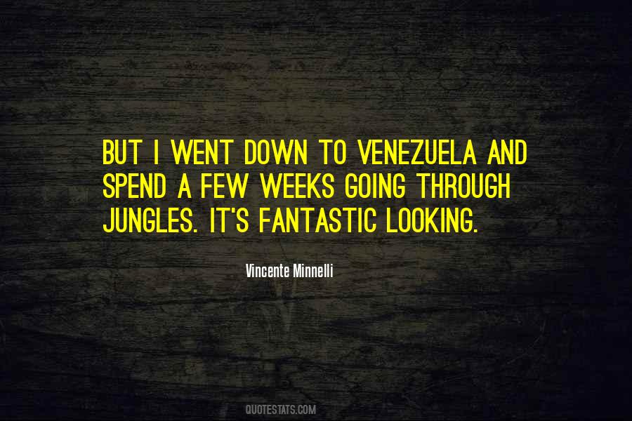 Vincente Minnelli Quotes #982252