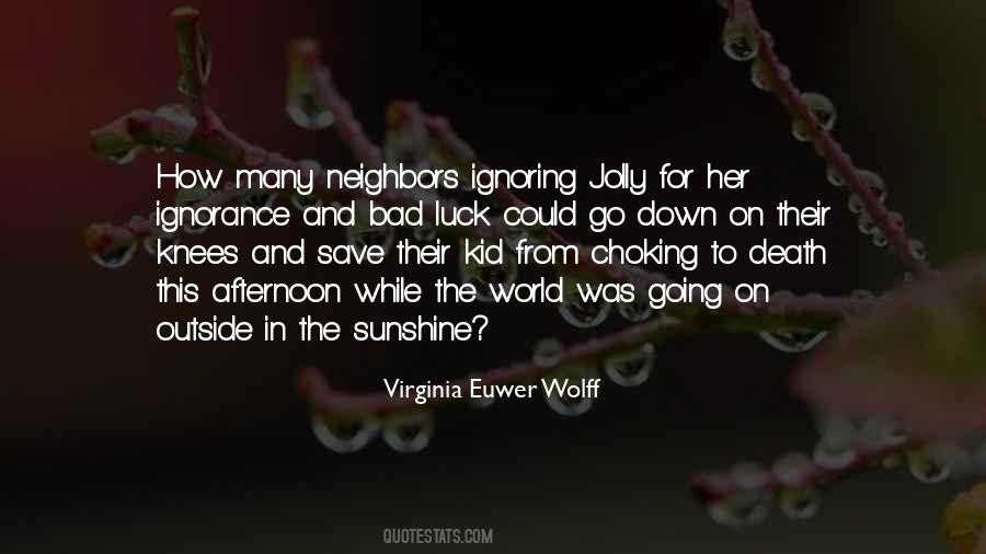 Virginia Euwer Wolff Quotes #670923