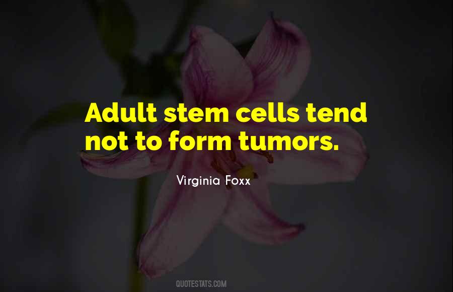 Virginia Foxx Quotes #1065547