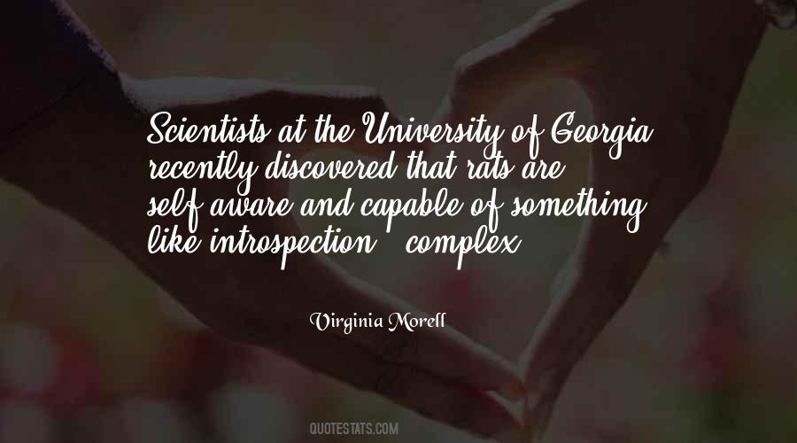 Virginia Morell Quotes #1320720