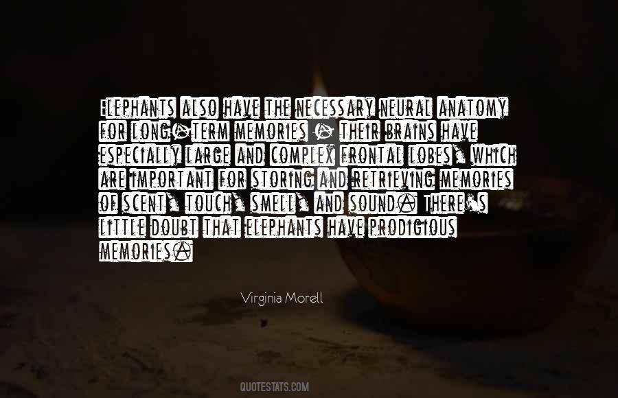 Virginia Morell Quotes #625026