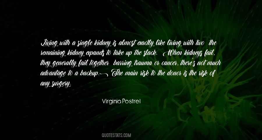 Virginia Postrel Quotes #1407023 Virginia Postrel Quotes #1407023