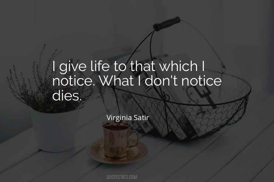 Virginia Satir Quotes #242885