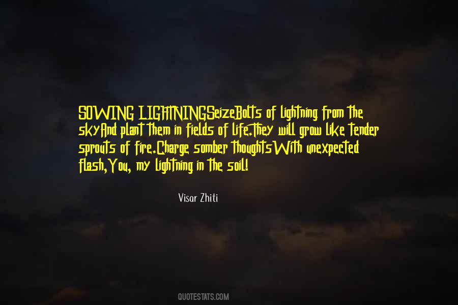Visar Zhiti Quotes #1466416