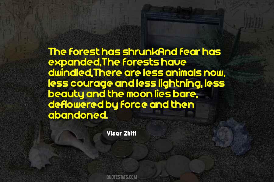 Visar Zhiti Quotes #697668