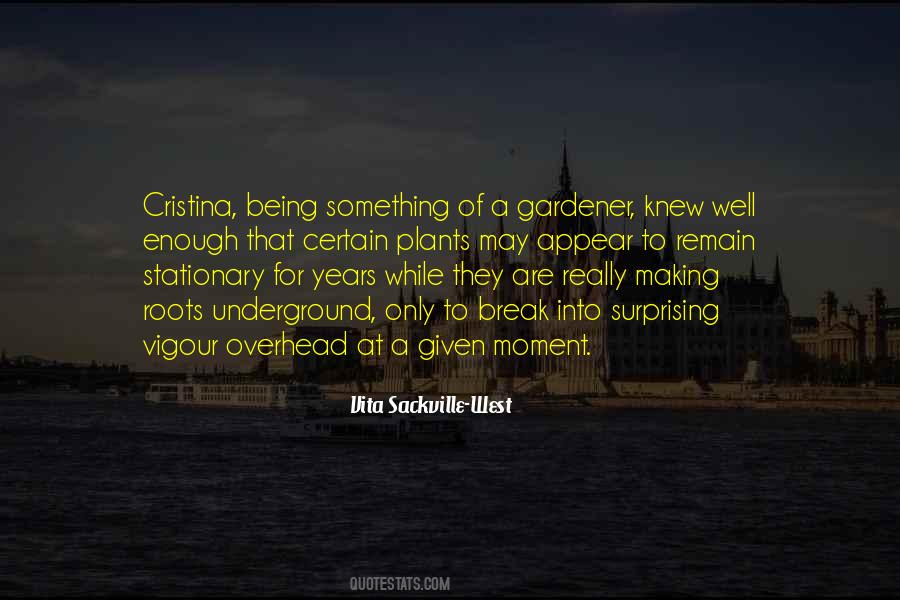 Vita Sackville-West Quotes #812705