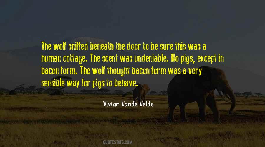 Vivian Vande Velde Quotes #662174