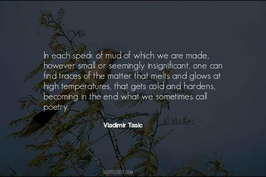 Vladimir Tasic Quotes #1843273