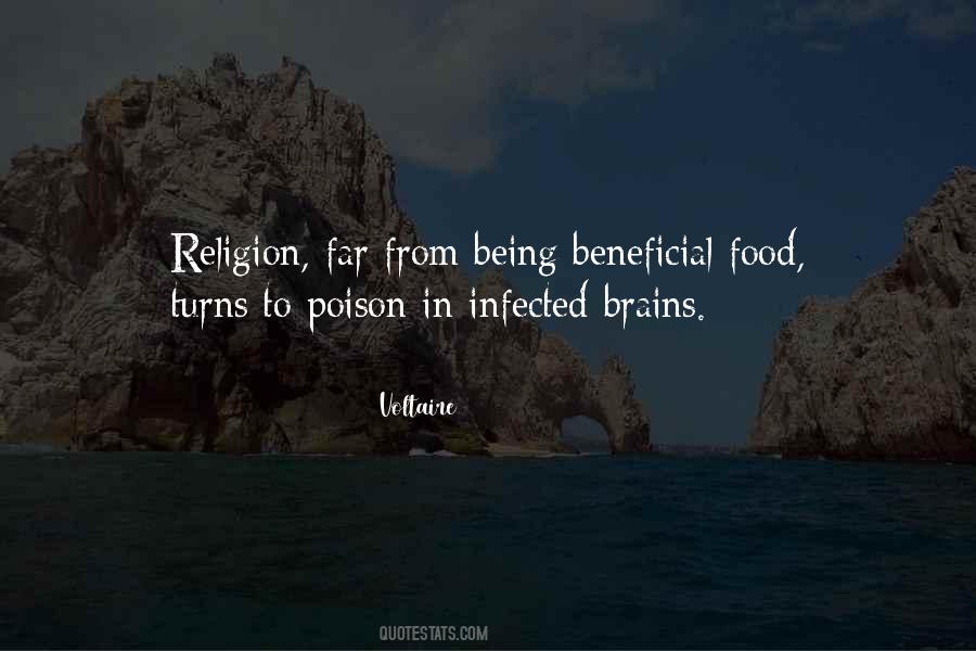 Voltaire Quotes #1724819