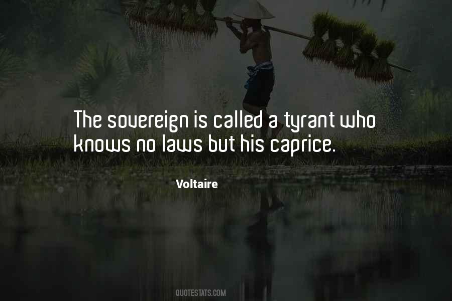Voltaire Quotes #1808097