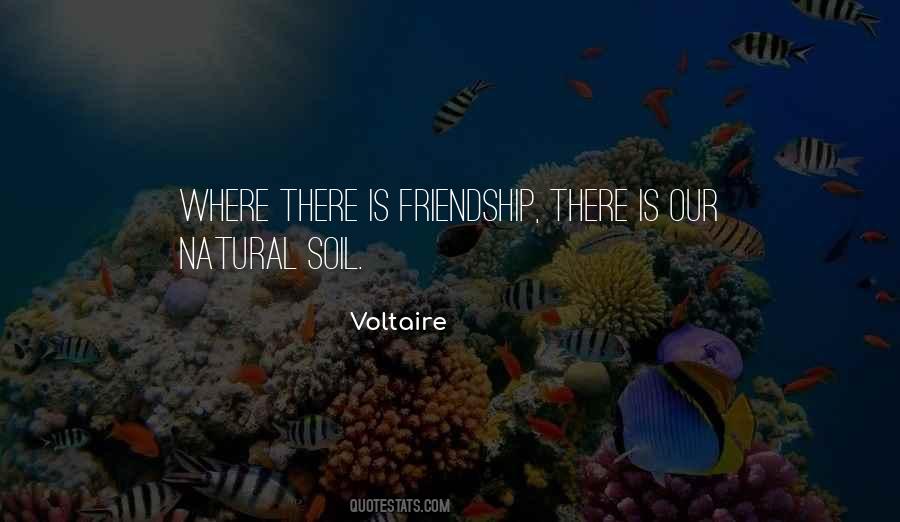 Voltaire Quotes #1877479