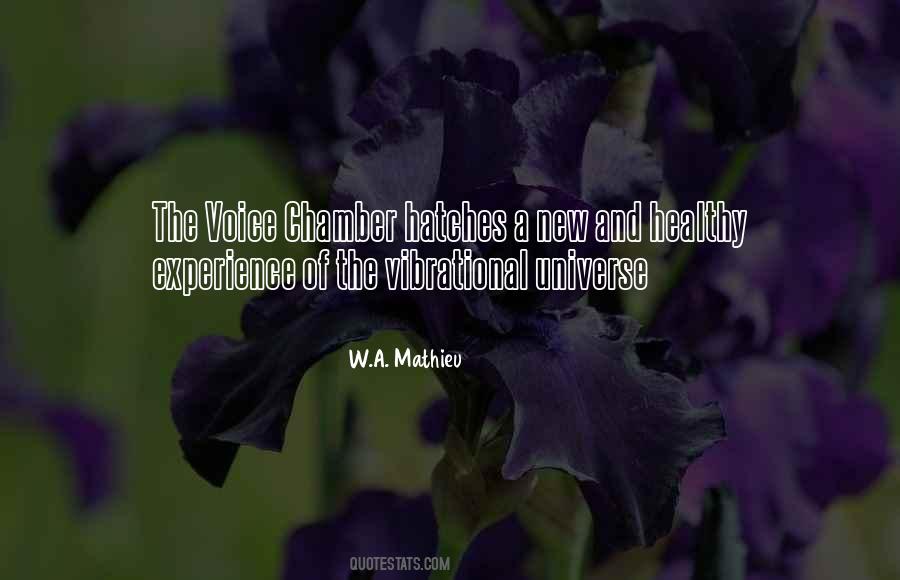 W.A. Mathieu Quotes #658404