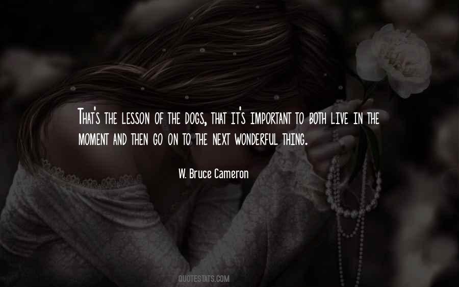 W. Bruce Cameron Quotes #492746