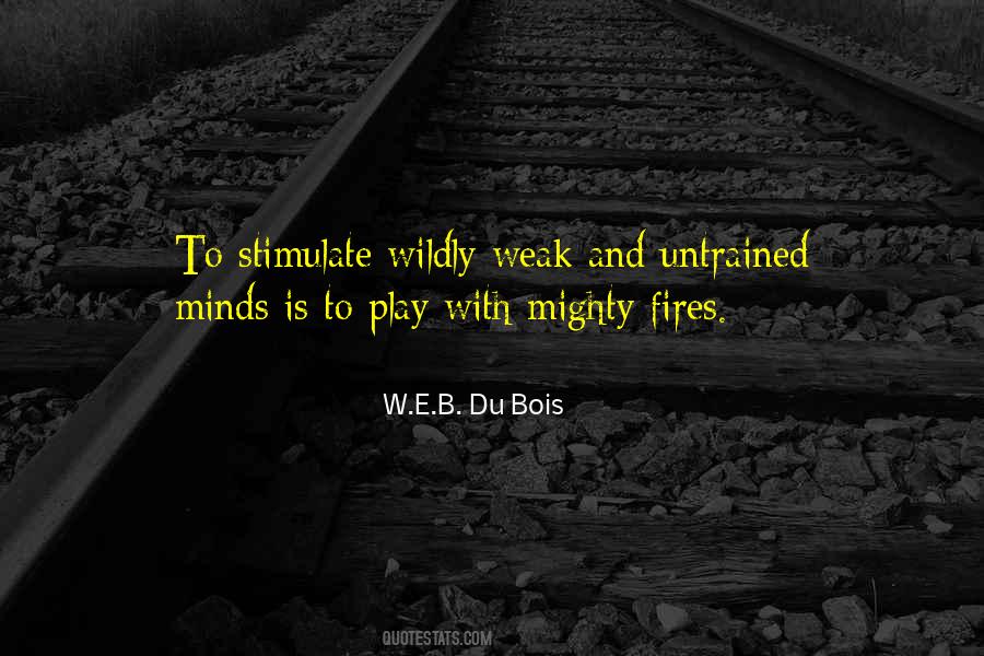 W.E.B. Du Bois Quotes #1498492