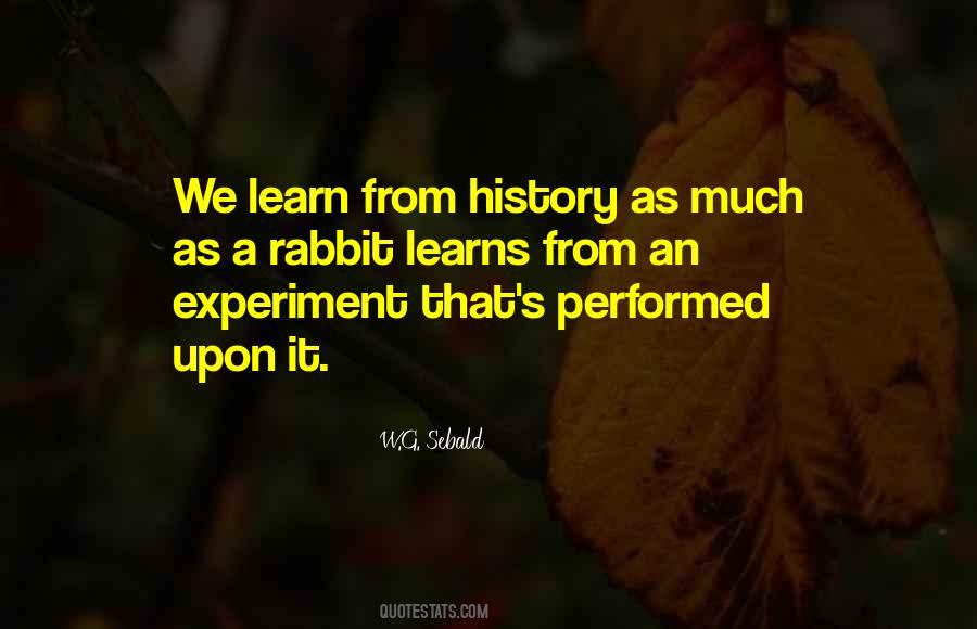 W.G. Sebald Quotes #1513245