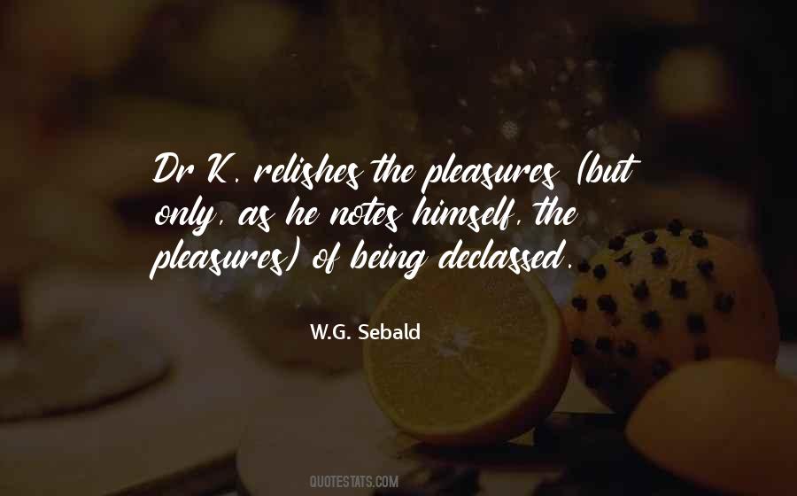 W.G. Sebald Quotes #82082