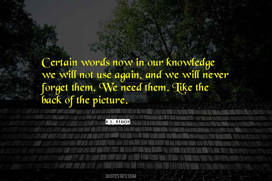 W.S. Merwin Quotes #919071