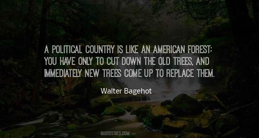 Walter Bagehot Quotes #1763557