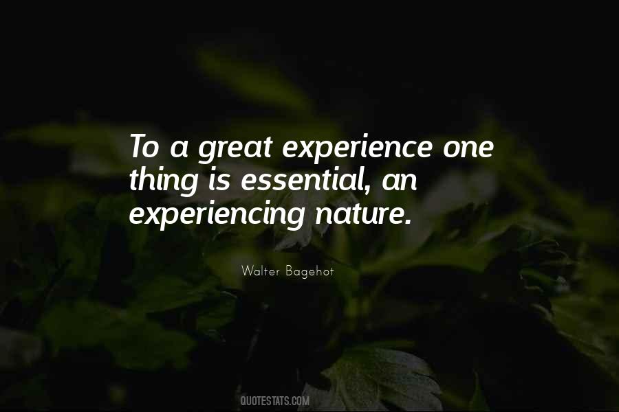 Walter Bagehot Quotes #1849637