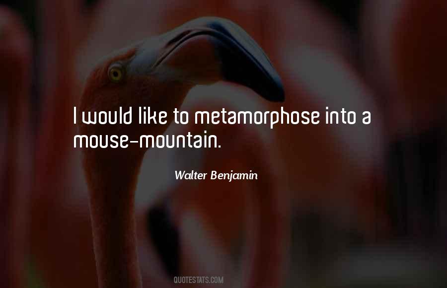 Walter Benjamin Quotes #1018636