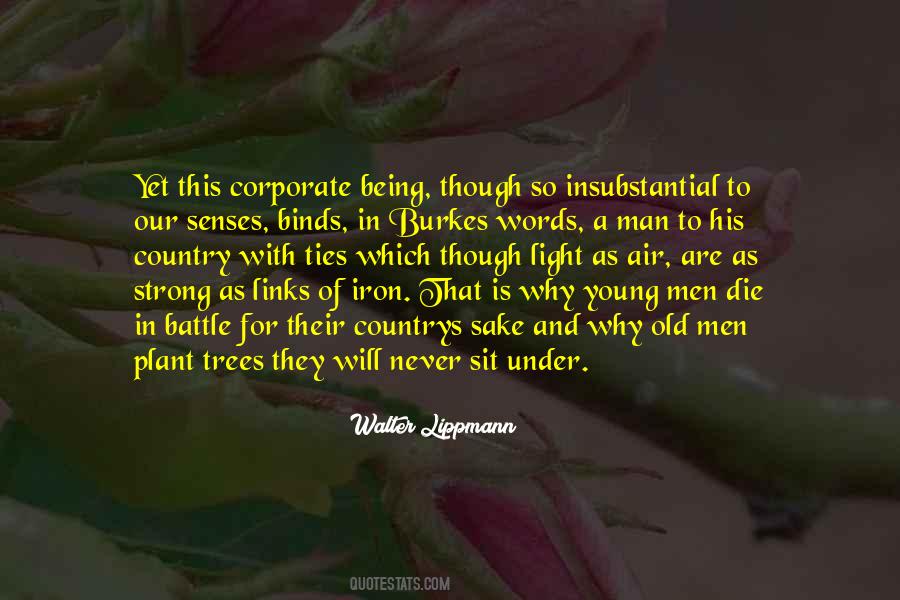 Walter Lippmann Quotes #215968