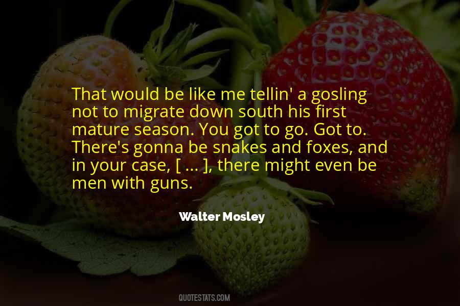 Walter Mosley Quotes #1537563