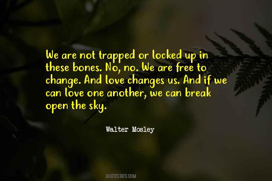 Walter Mosley Quotes #7401