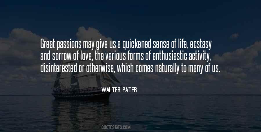 Walter Pater Quotes #687006