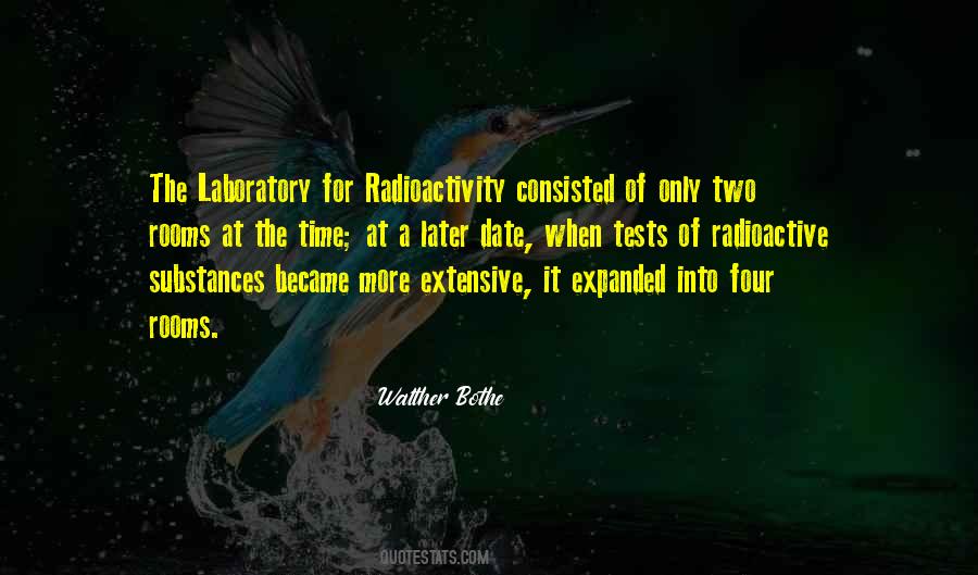 Walther Bothe Quotes #1596973