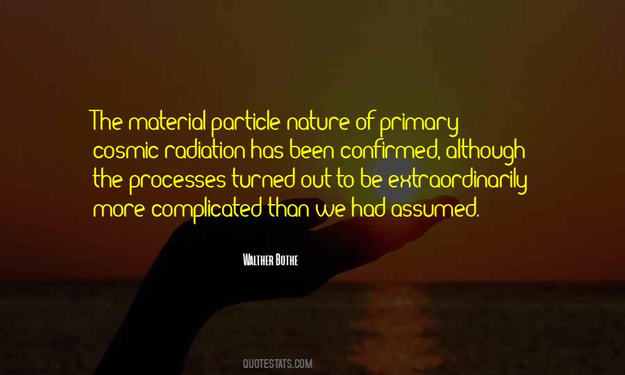 Walther Bothe Quotes #392835