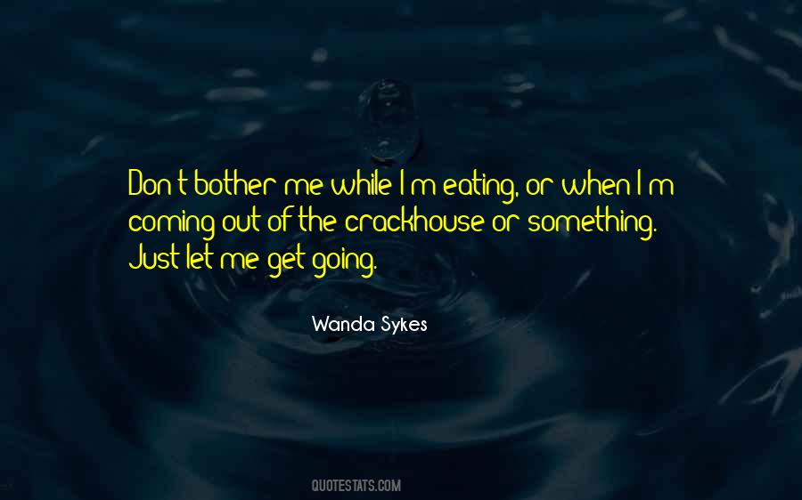 Wanda Sykes Quotes #1508875