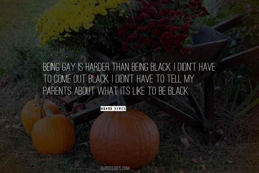 Wanda Sykes Quotes #1620104