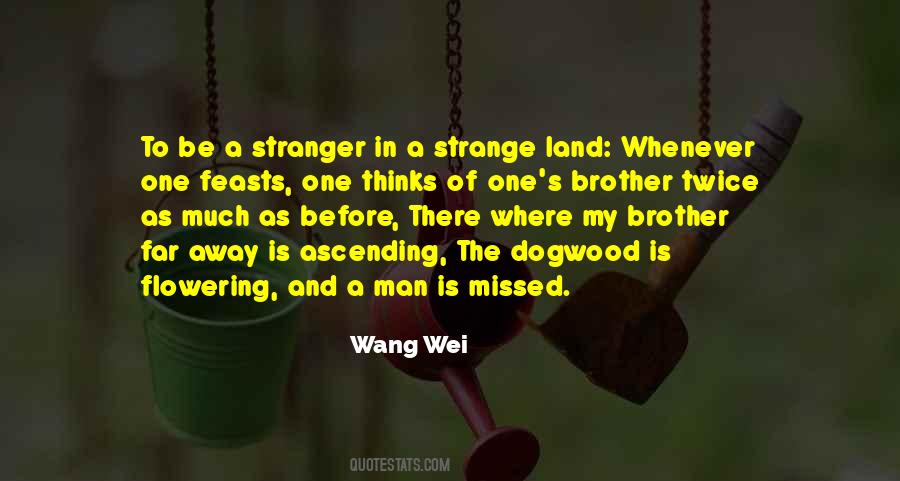 Wang Wei Quotes #843764