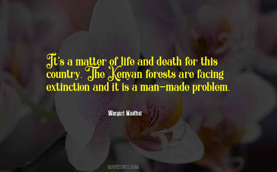 Wangari Maathai Quotes #1411130