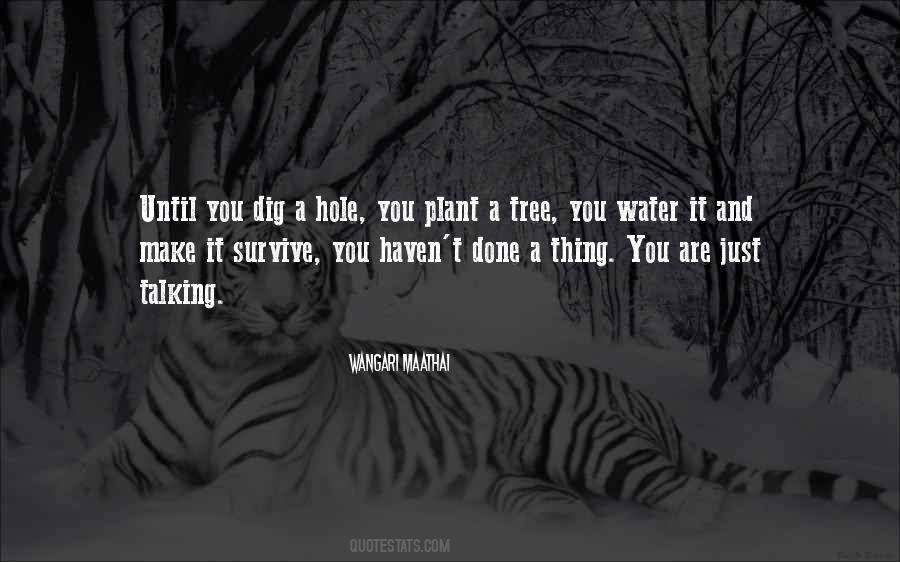Wangari Maathai Quotes #184509
