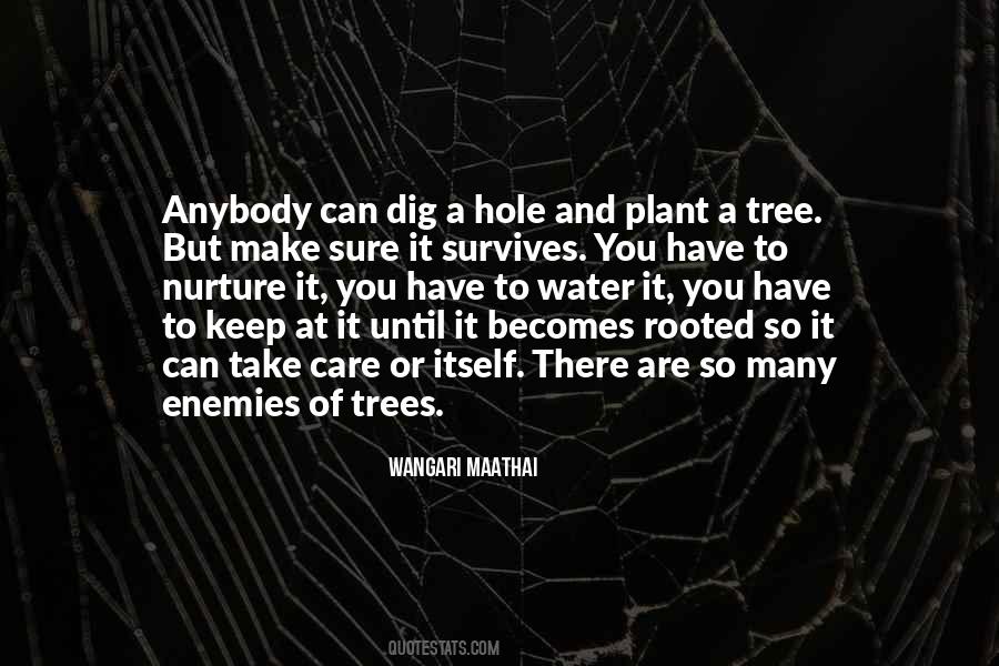 Wangari Maathai Quotes #672811