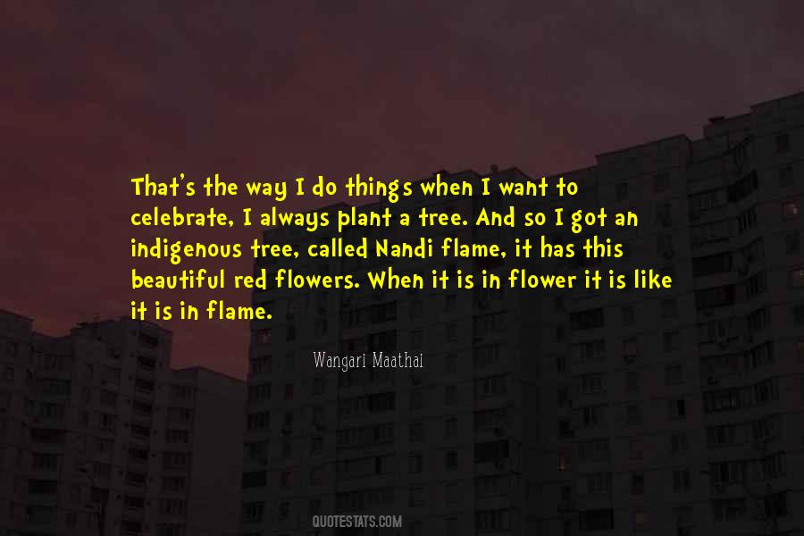 Wangari Maathai Quotes #711816