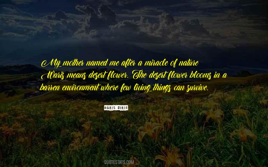 Waris Dirie Quotes #1137644