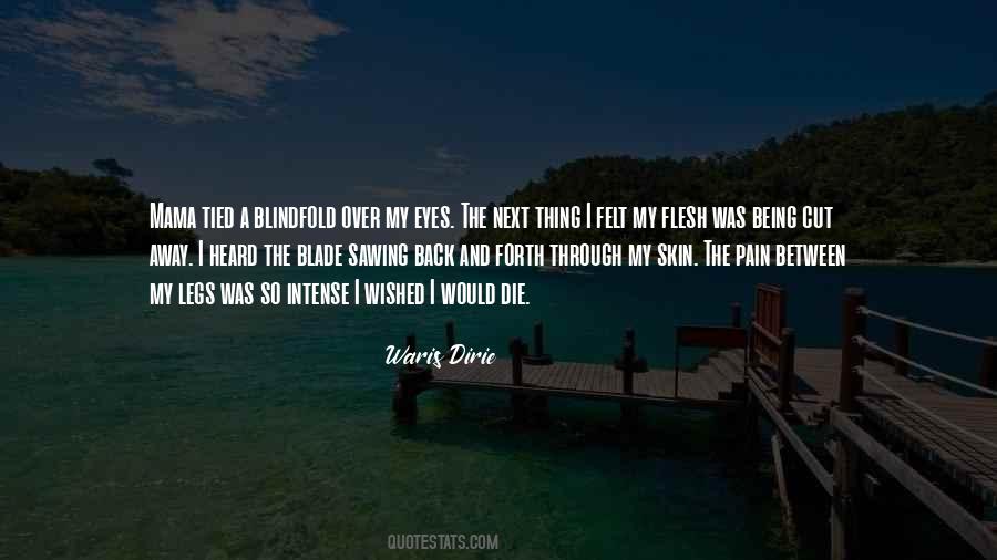 Waris Dirie Quotes #143517