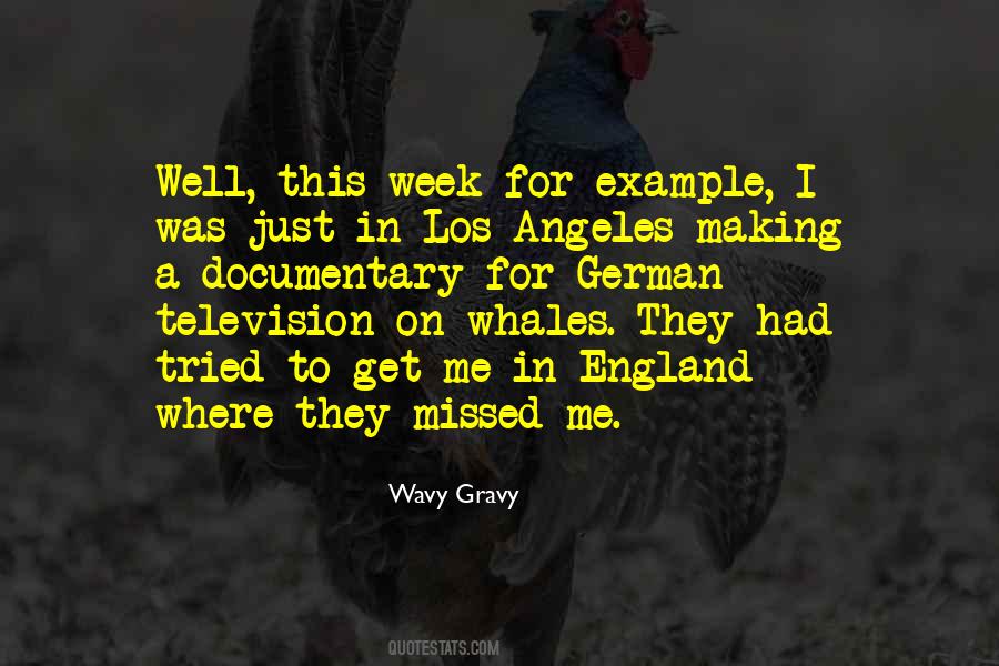 Wavy Gravy Quotes #1226569