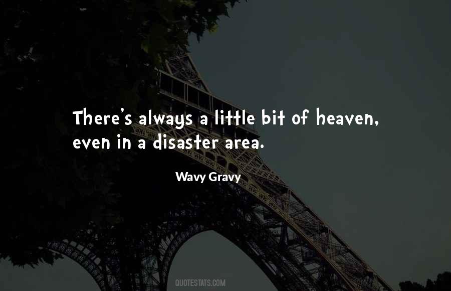 Wavy Gravy Quotes #1329226