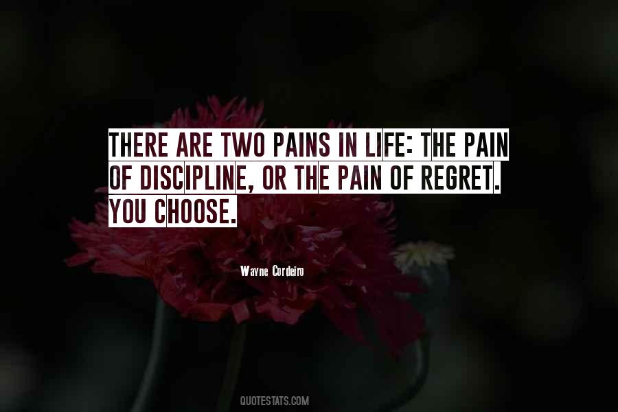 Wayne Cordeiro Quotes #256089