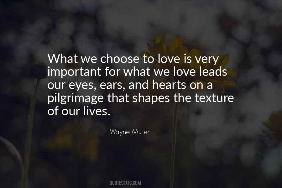 Wayne Muller Quotes #1731775