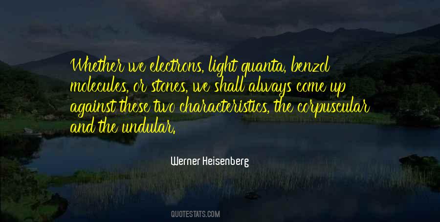 Werner Heisenberg Quotes #552638