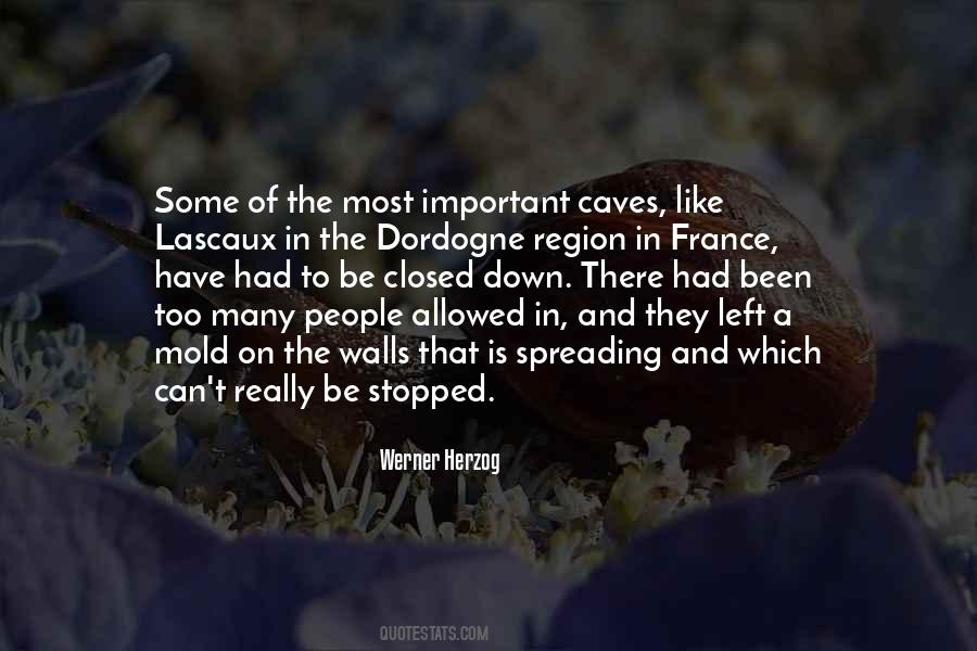 Werner Herzog Quotes #1595432