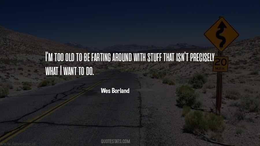 Wes Borland Quotes #20077