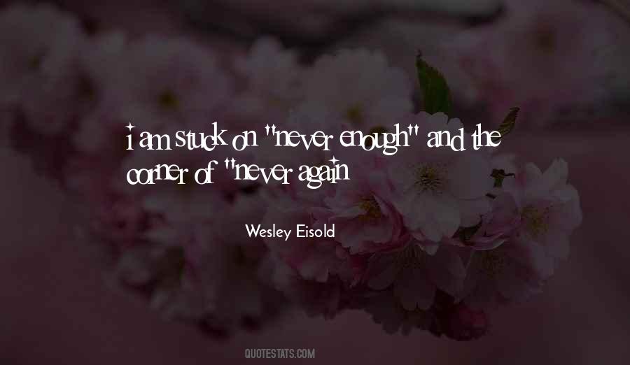 Wesley Eisold Quotes #826077
