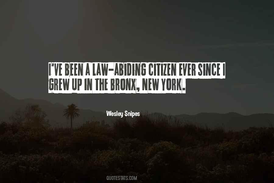 Wesley Snipes Quotes #1768911